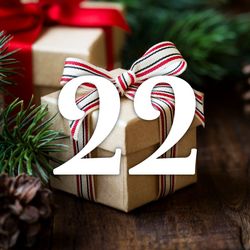 Dia 22