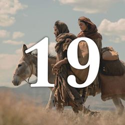 Dia 19