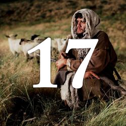 Dia 17